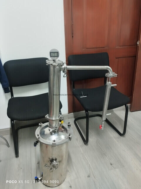 IMG 20241101 174737